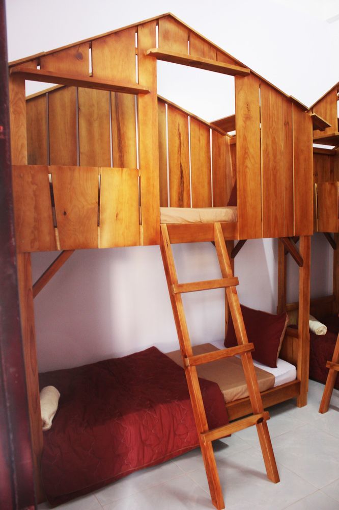 Tree House Hostel دالات المظهر الخارجي الصورة