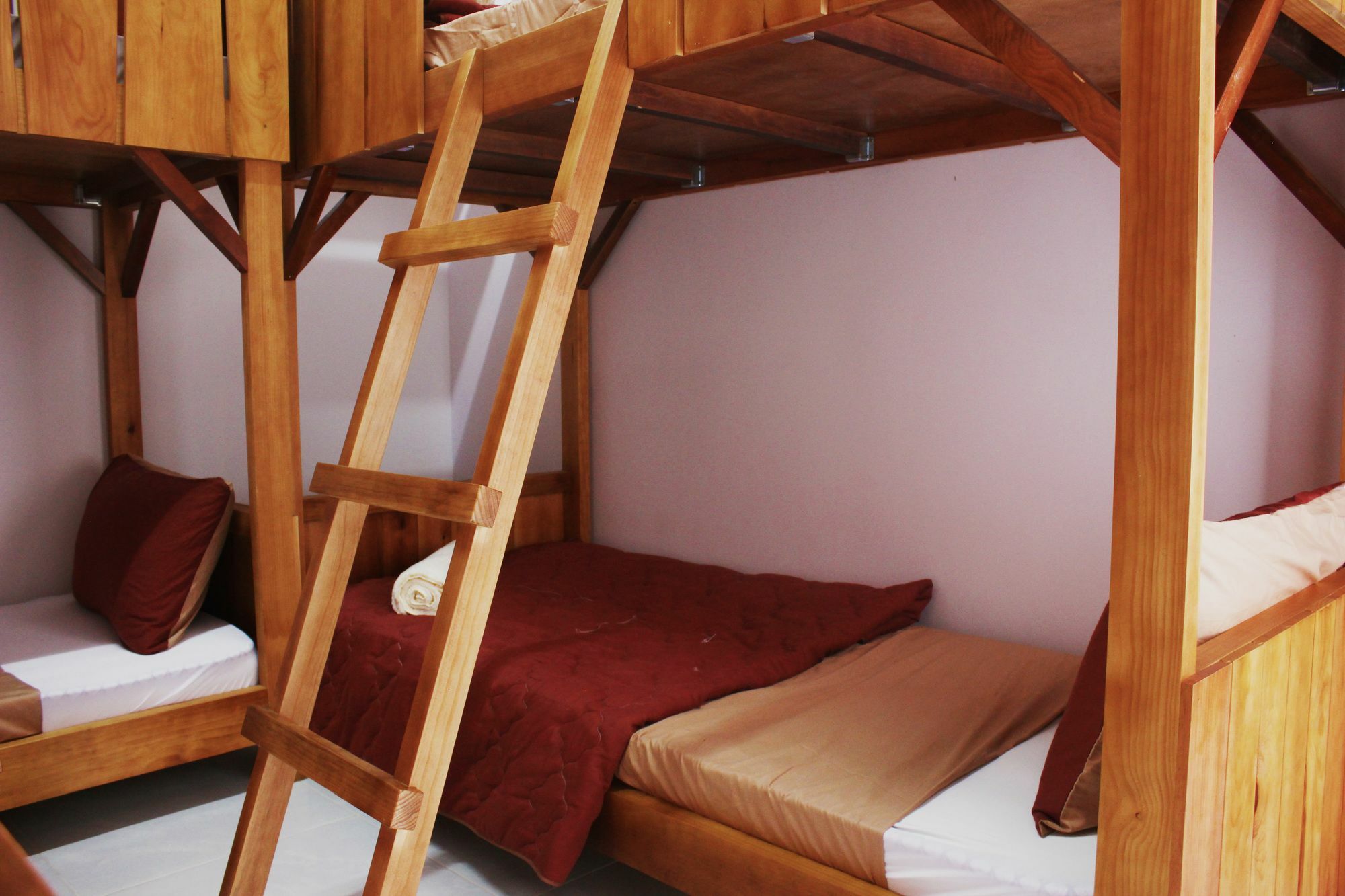 Tree House Hostel دالات المظهر الخارجي الصورة